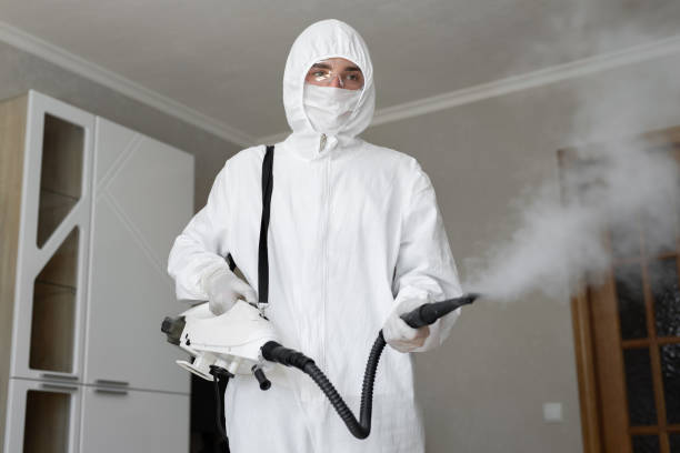 Biohazard Mold Removal in Keller, TX